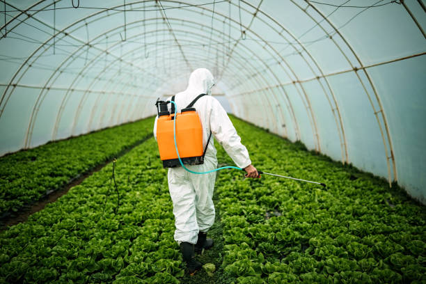 Trusted Artesia, NM Pest Control Experts