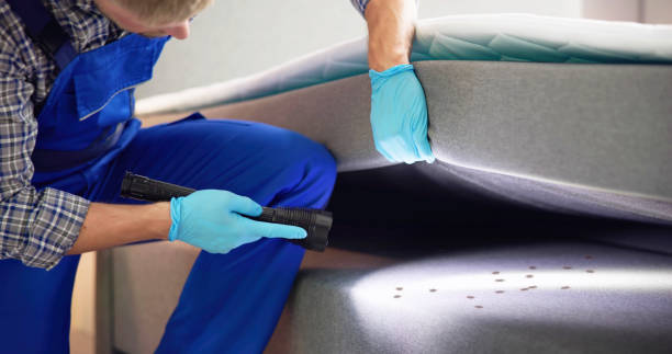 Best Pest Control Near Me  in Artesia, NM