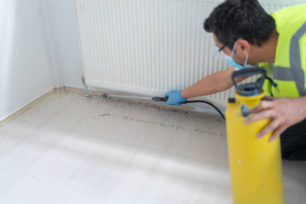 Best Pest Inspection Near Me  in Artesia, NM