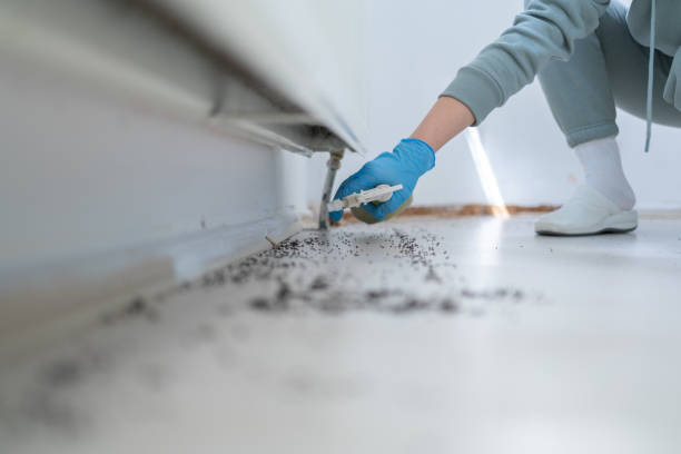 Best Affordable Pest Control Services  in Artesia, NM